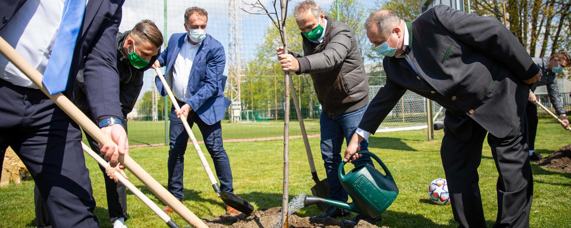 Fotó: Fekete István