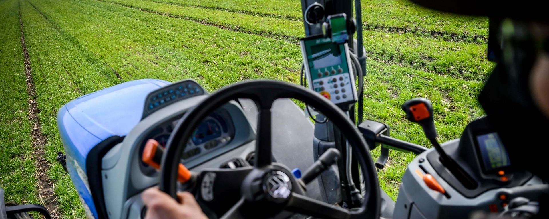 Fotó: Pelsőczy Csaba