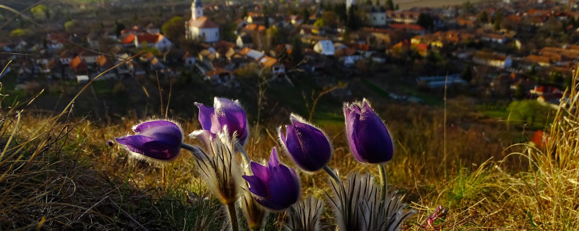 Fotó: Breitenbach Viktor/Varázslatos Magyarország
