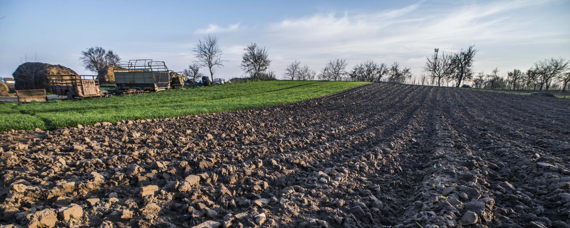Fotó: Pelsőczy Csaba