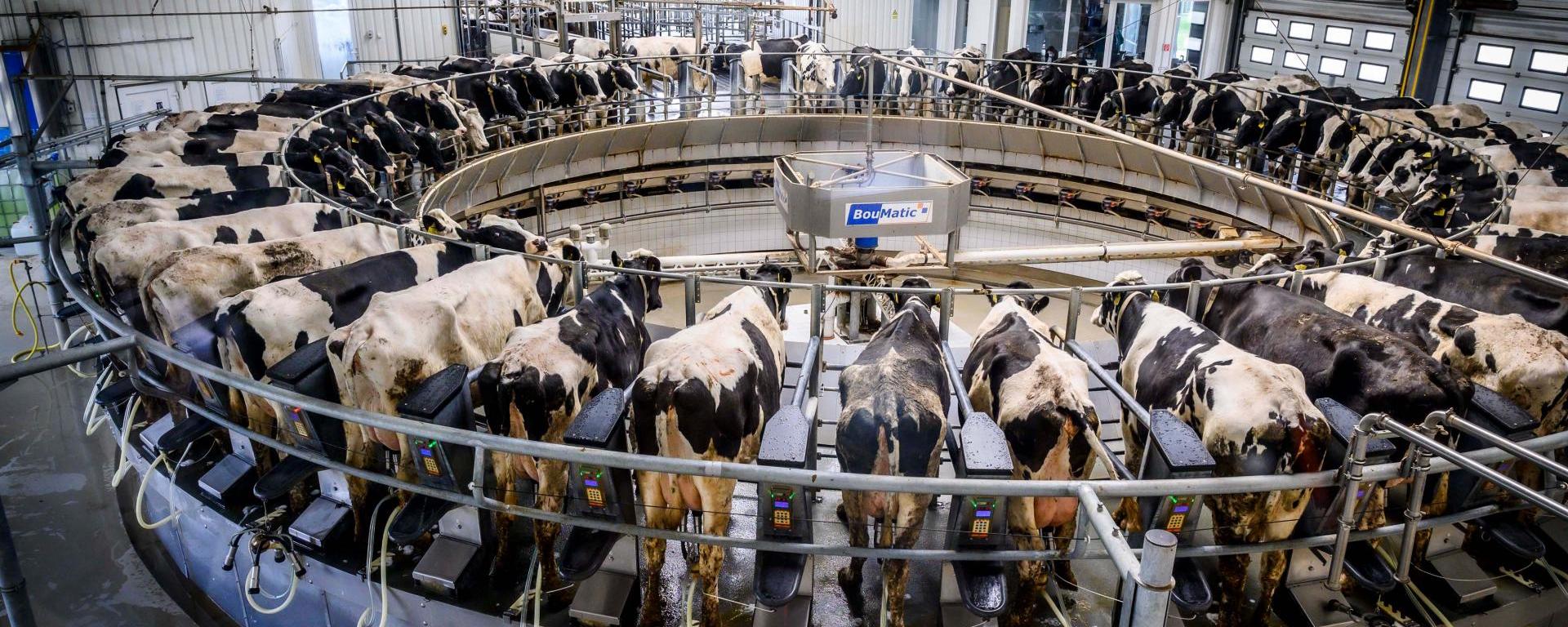 Fotó: Pelsőczy Csaba