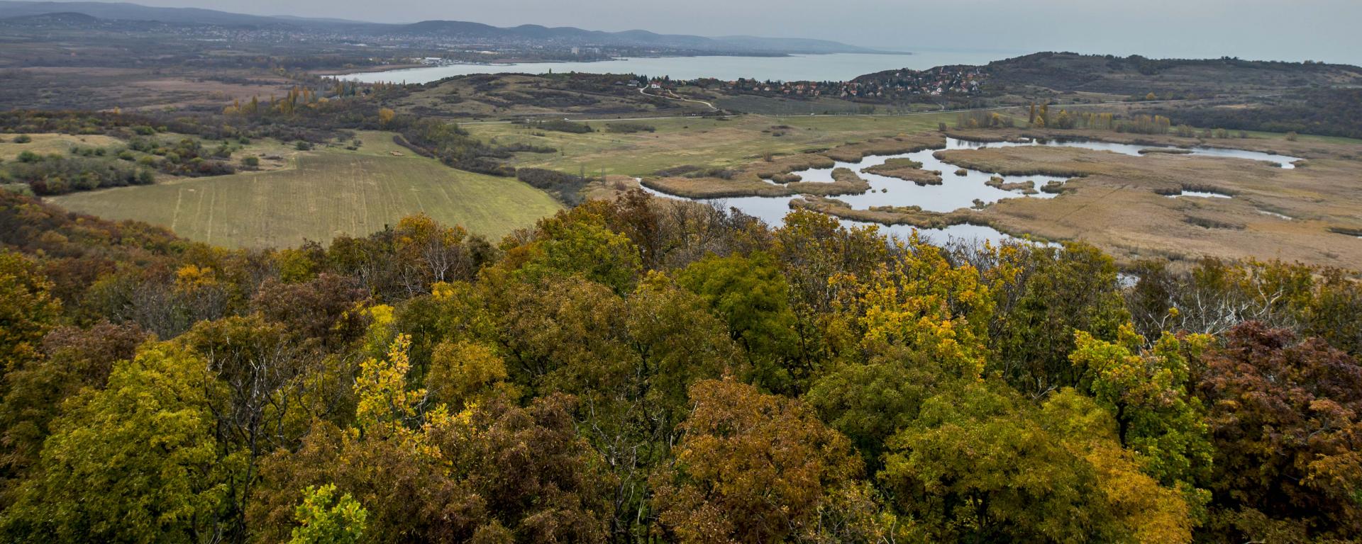 Fotó: Pelsőczy Csaba