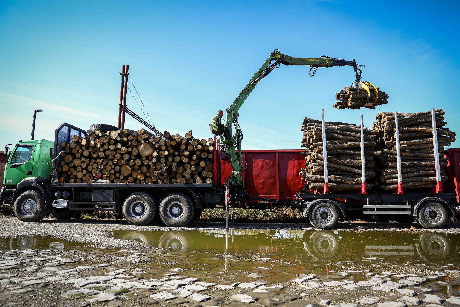 Több mint 2000 önkormányzatot szolgáltak ki szociális tűzifával az állami  erdészeti társaságok