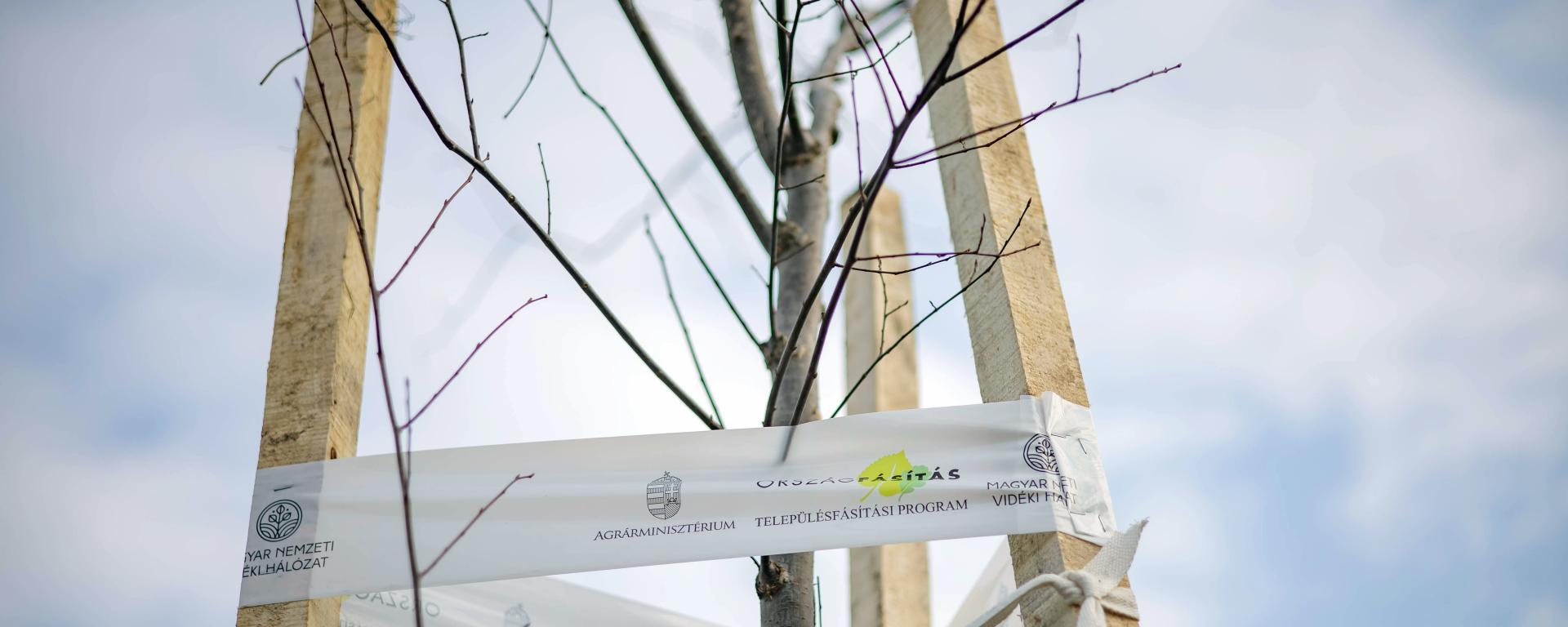 településfásítás