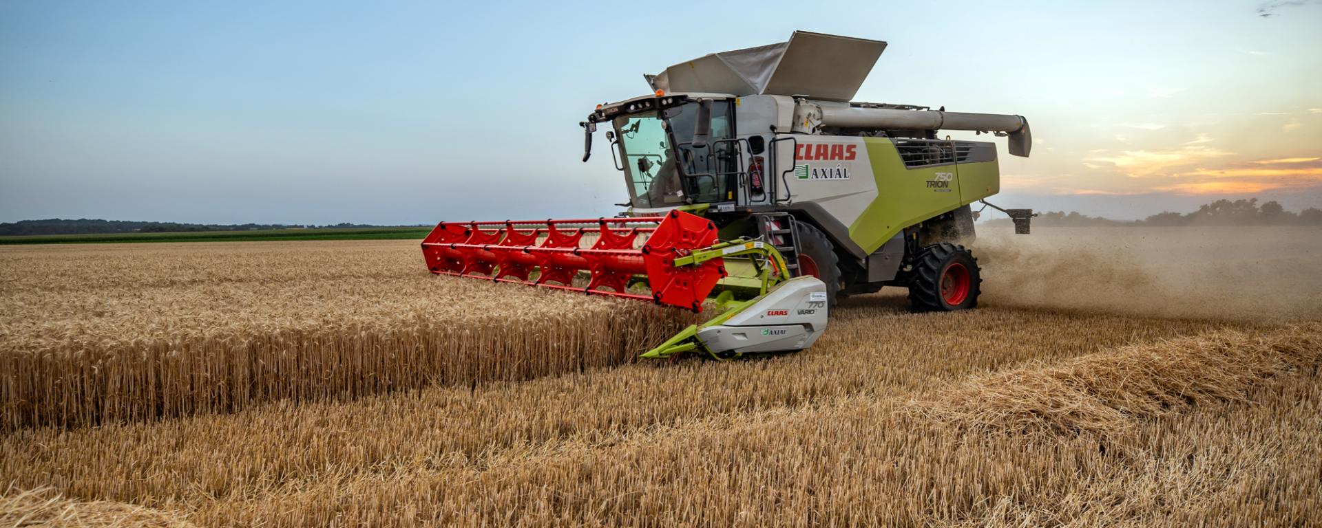 Árpa aratás_Vermes Tibor