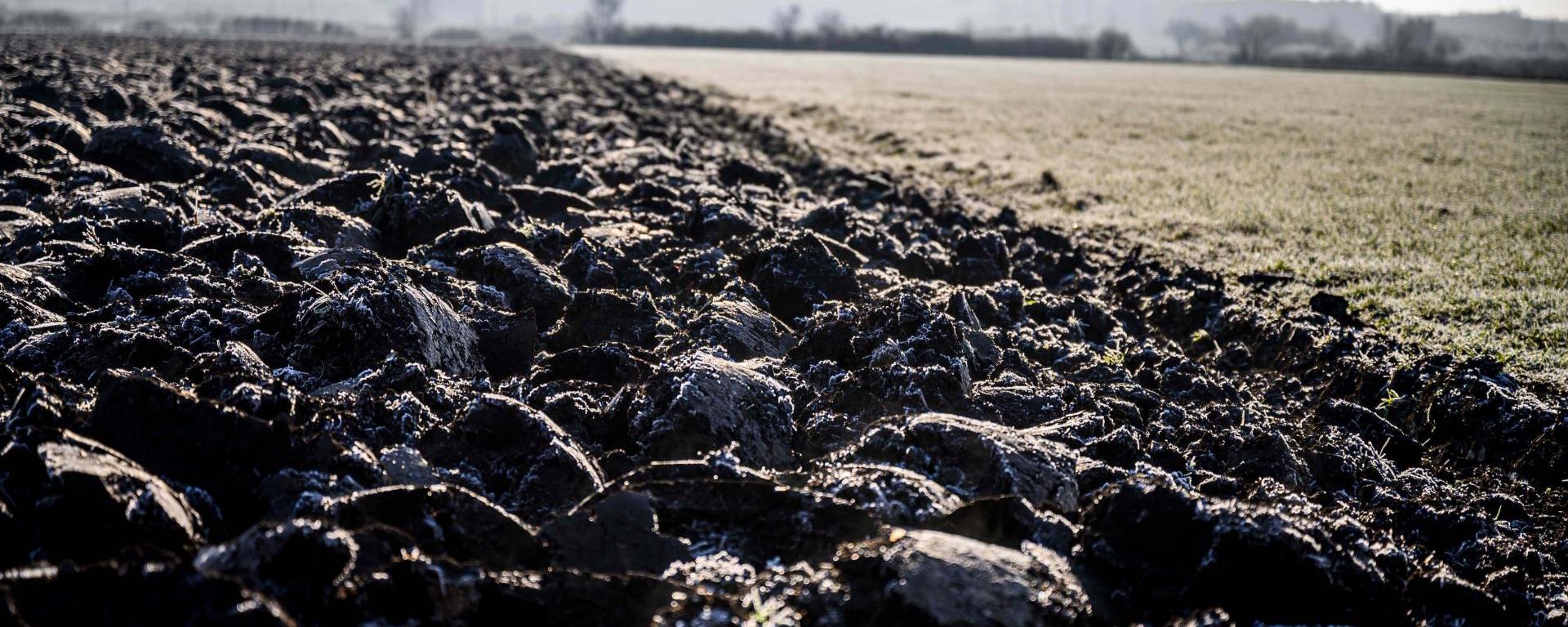 Fotó: Pelsőczy Csaba