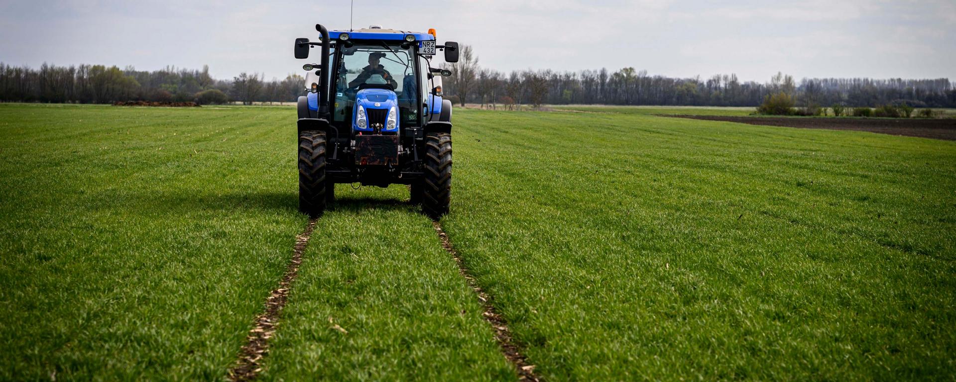 Fotó: Pelsőczy Csaba