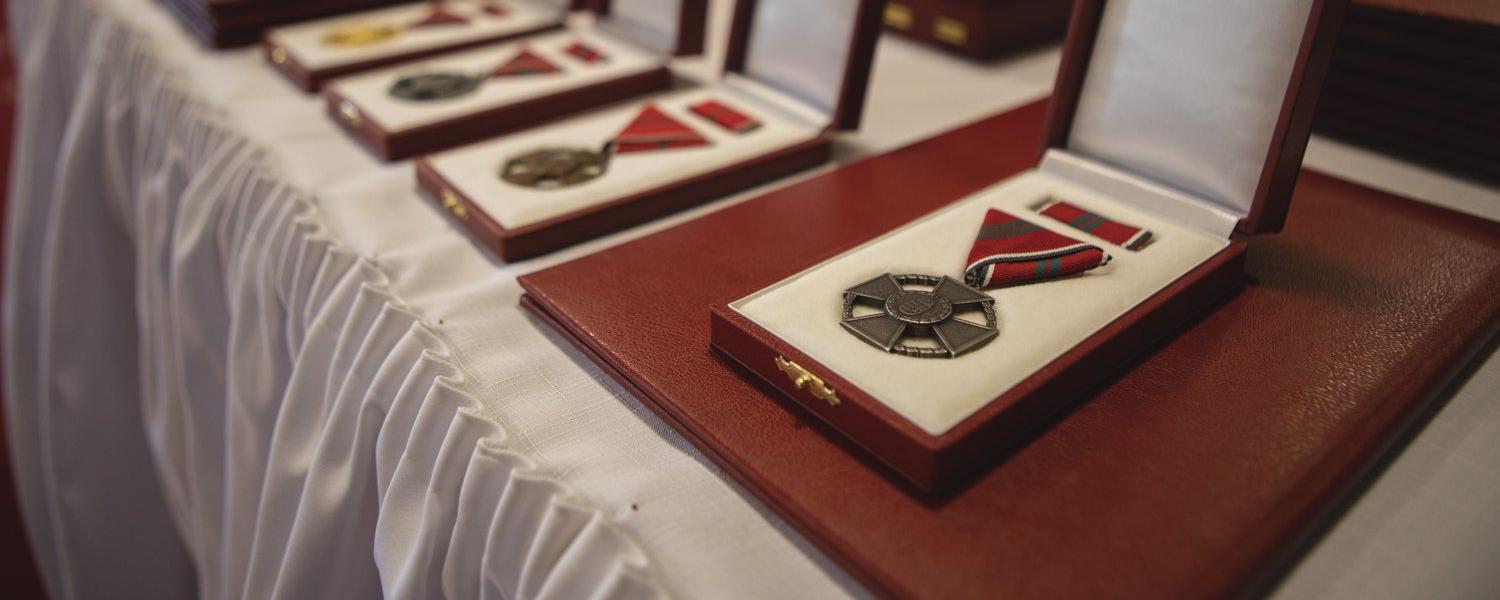 Németh Szilárd elismerést ad át