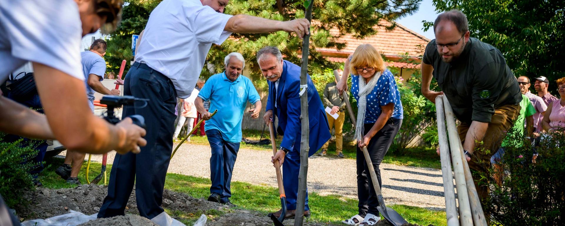 Fotó: Pelsőczy Csaba