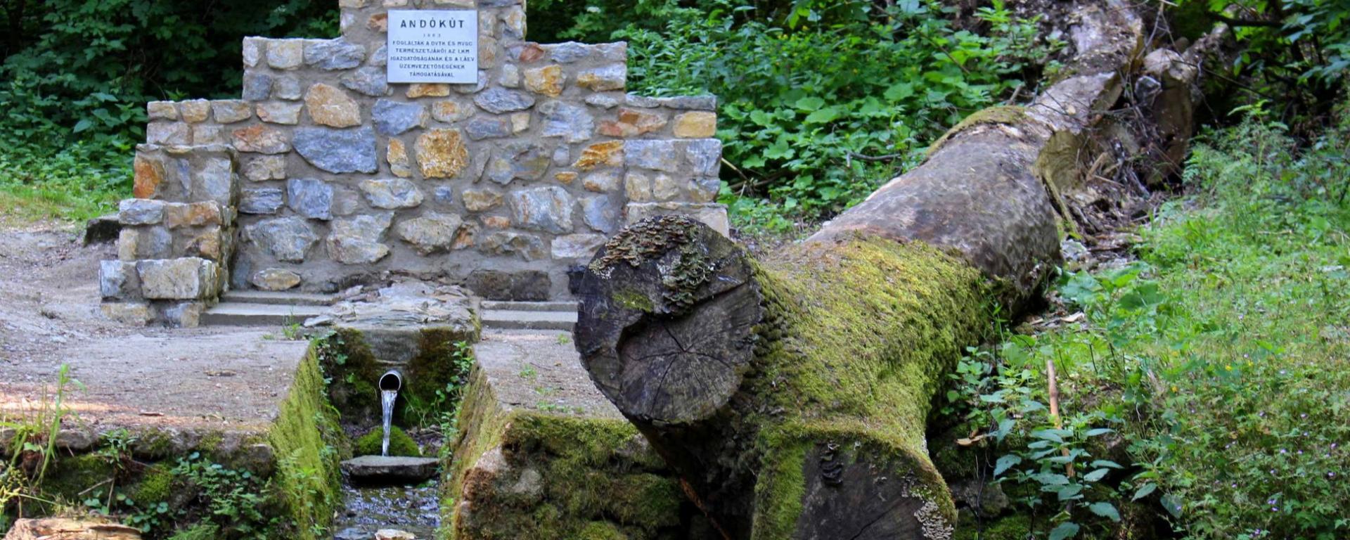 Forrás
