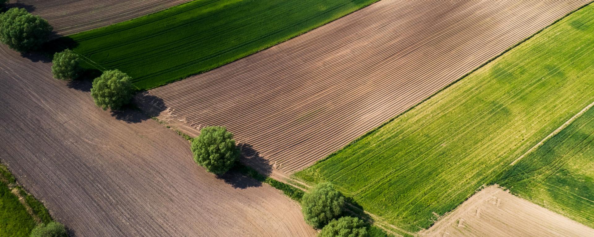 Szuperelőleg a gazdáknak az idei elemi károk enyhítésére