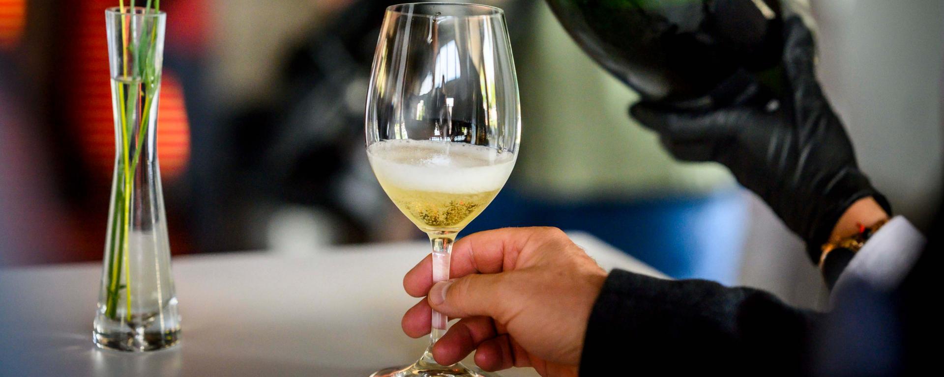 Fotó: Pelsőczy Csaba