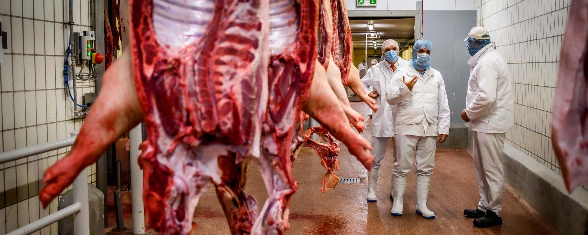 Fotó: Pelsőczy Csaba