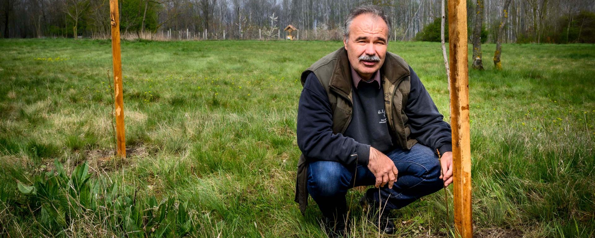 Fotó: Pelsőczy Csaba