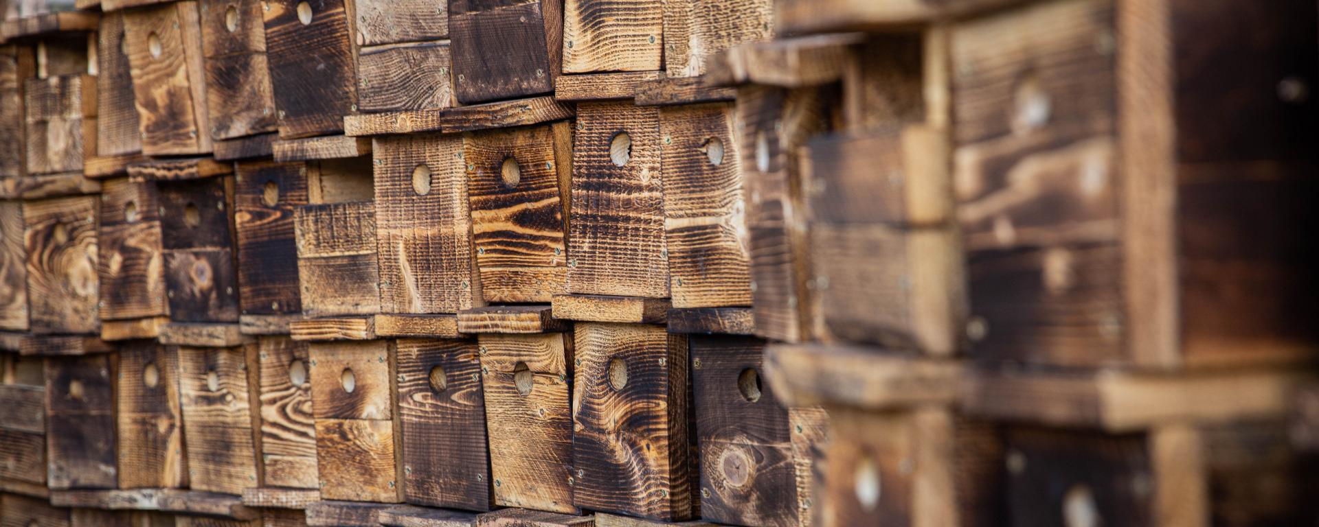 Fotó: Fekete István