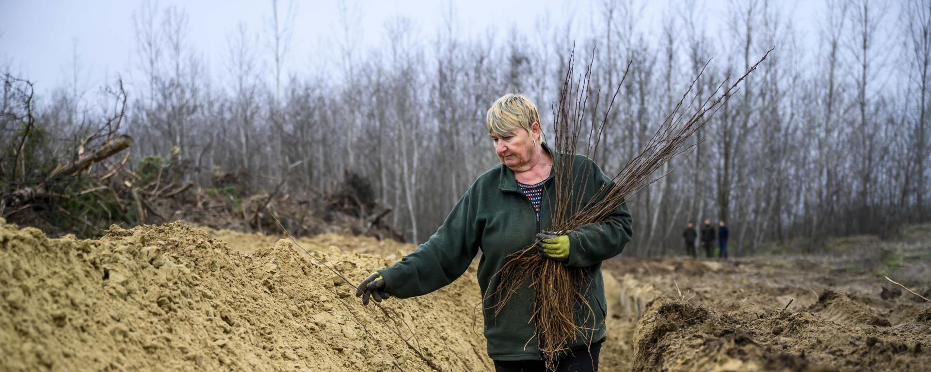Fotó: Pelsőczy Csaba
