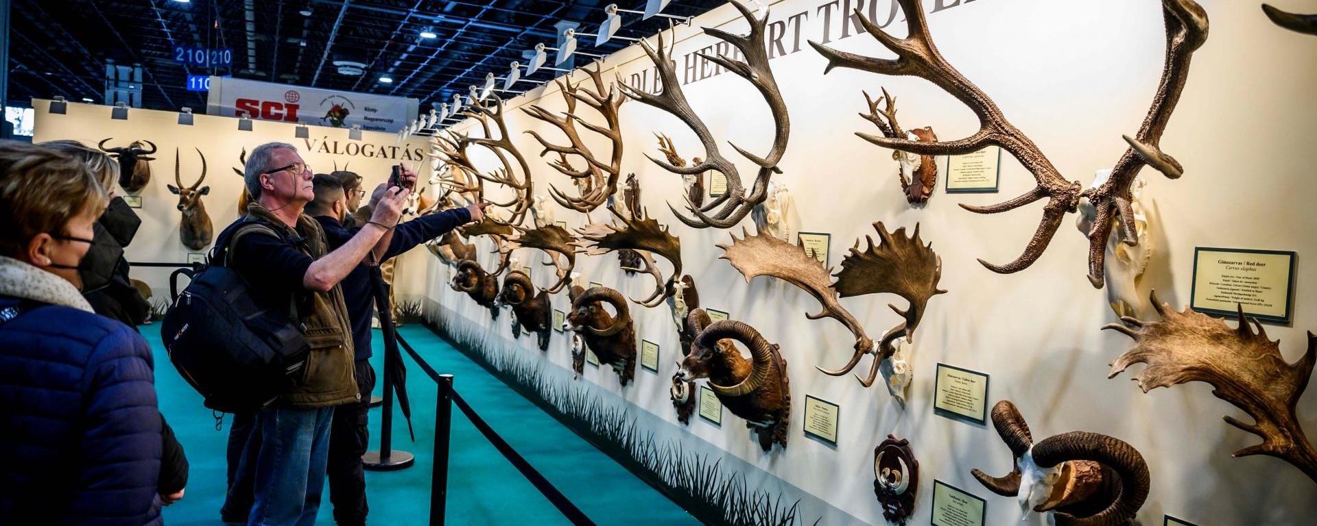 Fotó: Pelsőczy Csaba