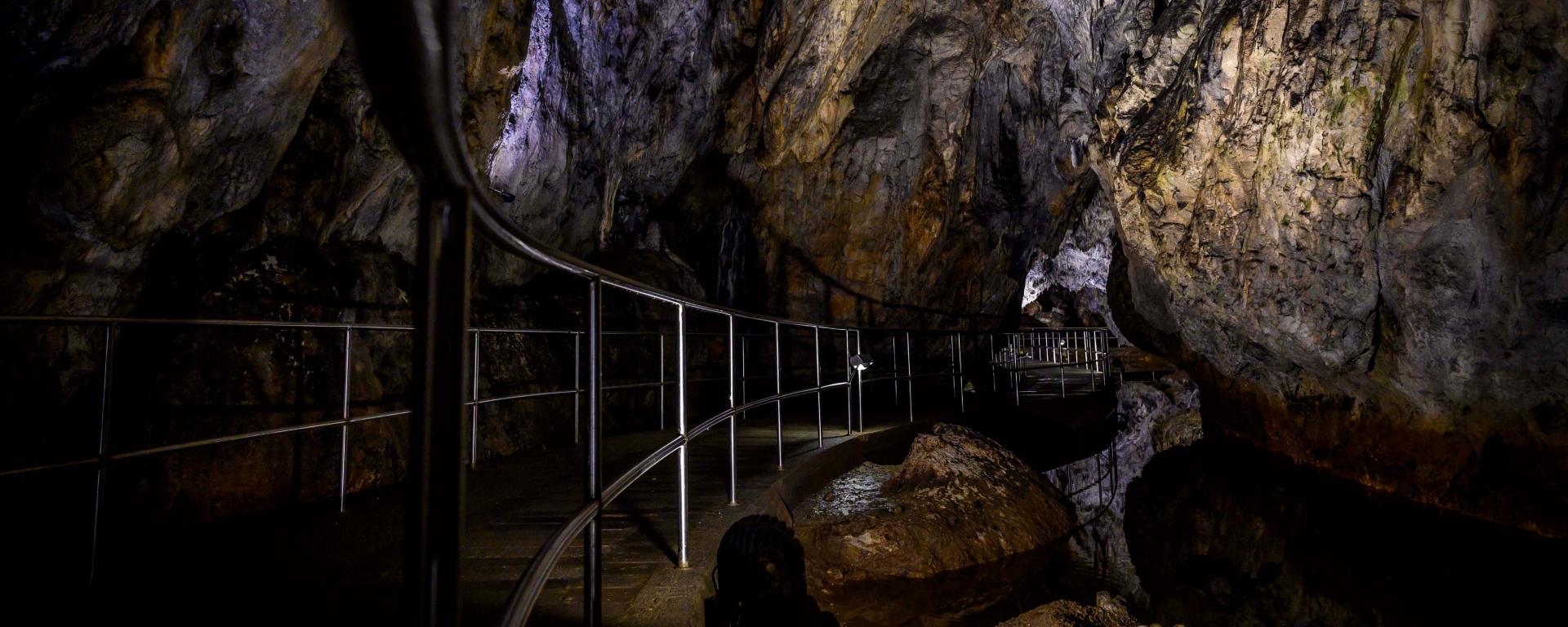 Fotó: Pelsőczy Csaba