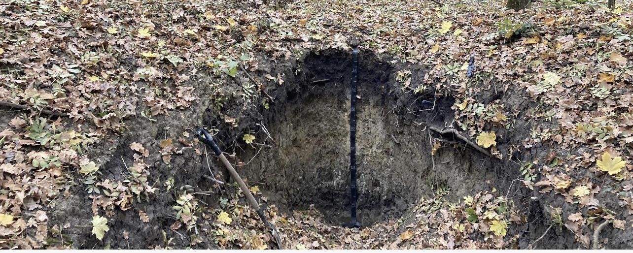 IUSS - International Union of Soil Sciences