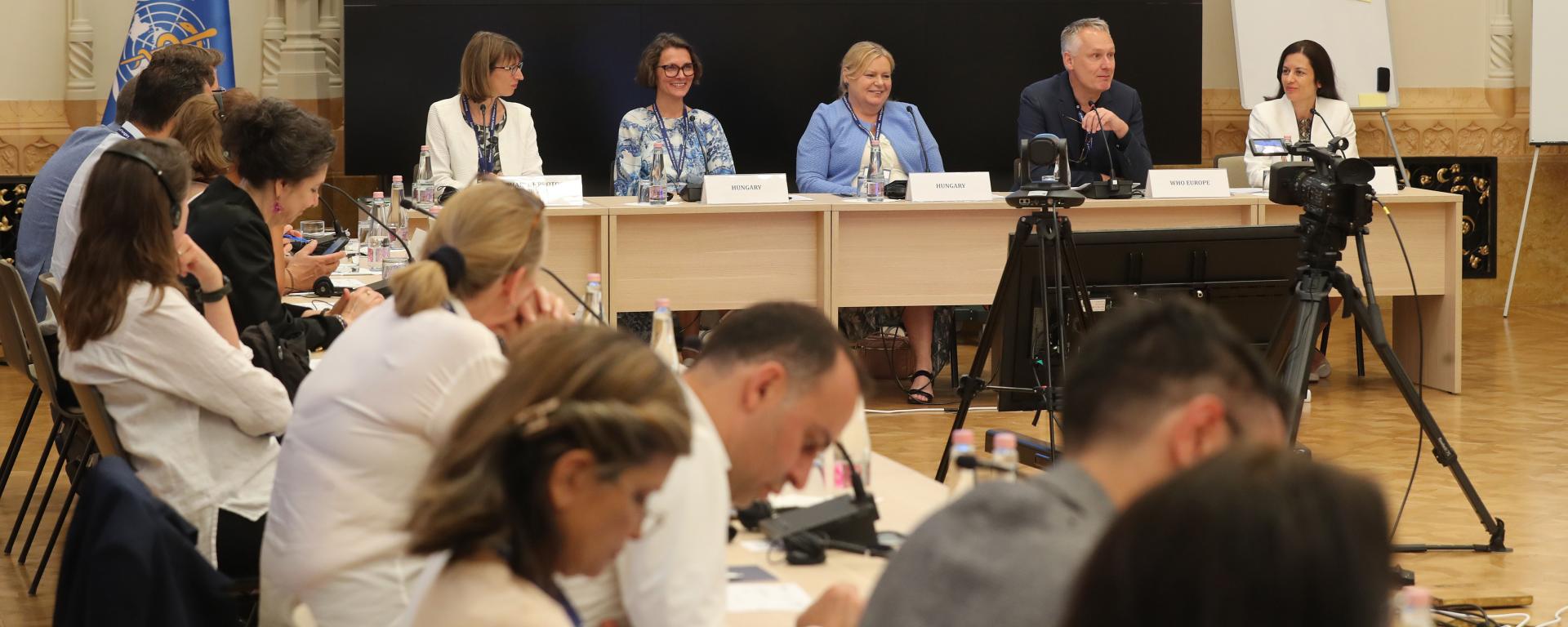 ENSZ EGB/WHO találkozó