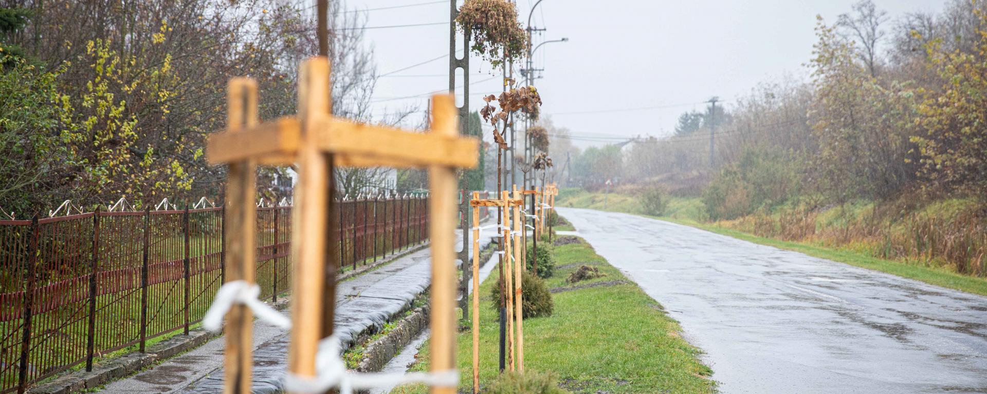 Fotó: Fekete István