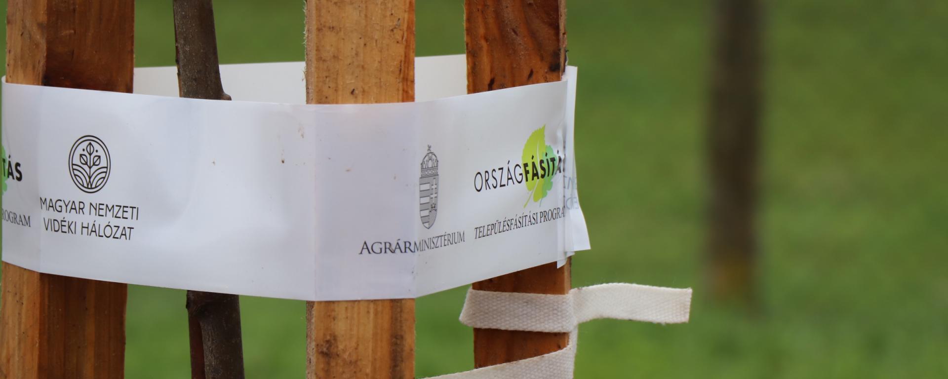 településfásítás