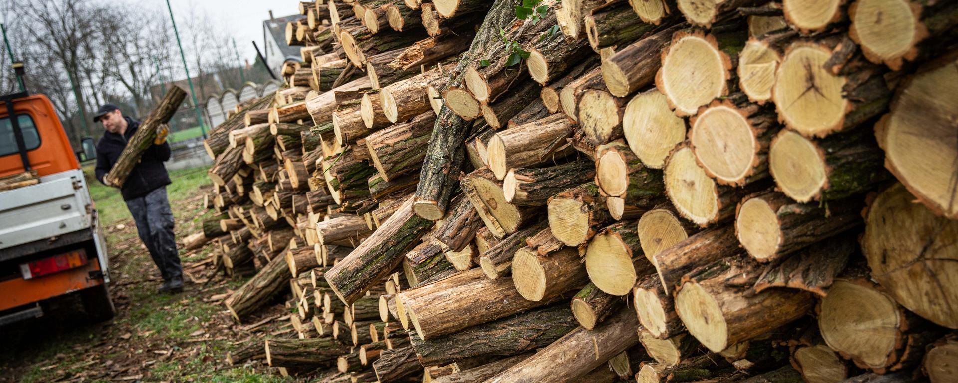 Fotó: Fekete István