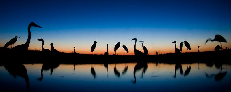 Fotó: Agrárminisztérium