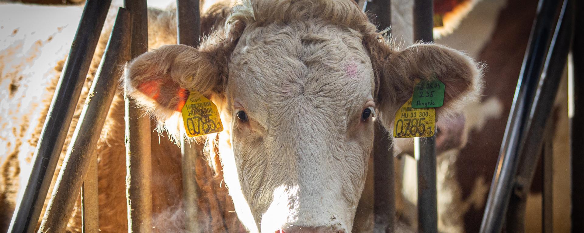 Fotó: Agrárminisztérium