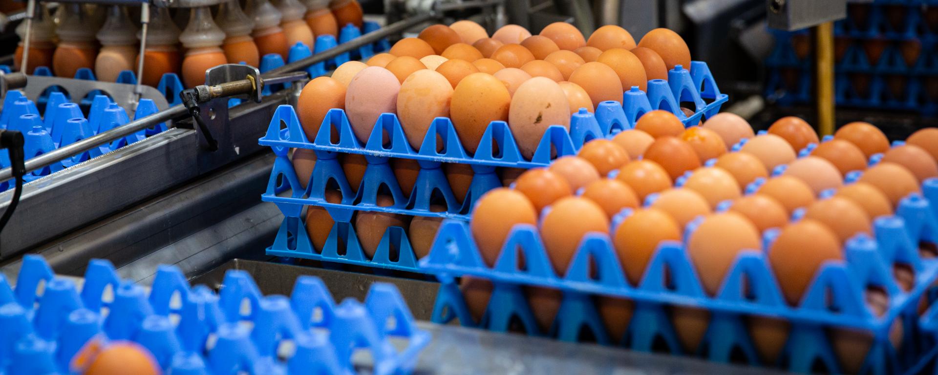 Fotó: Fekete István