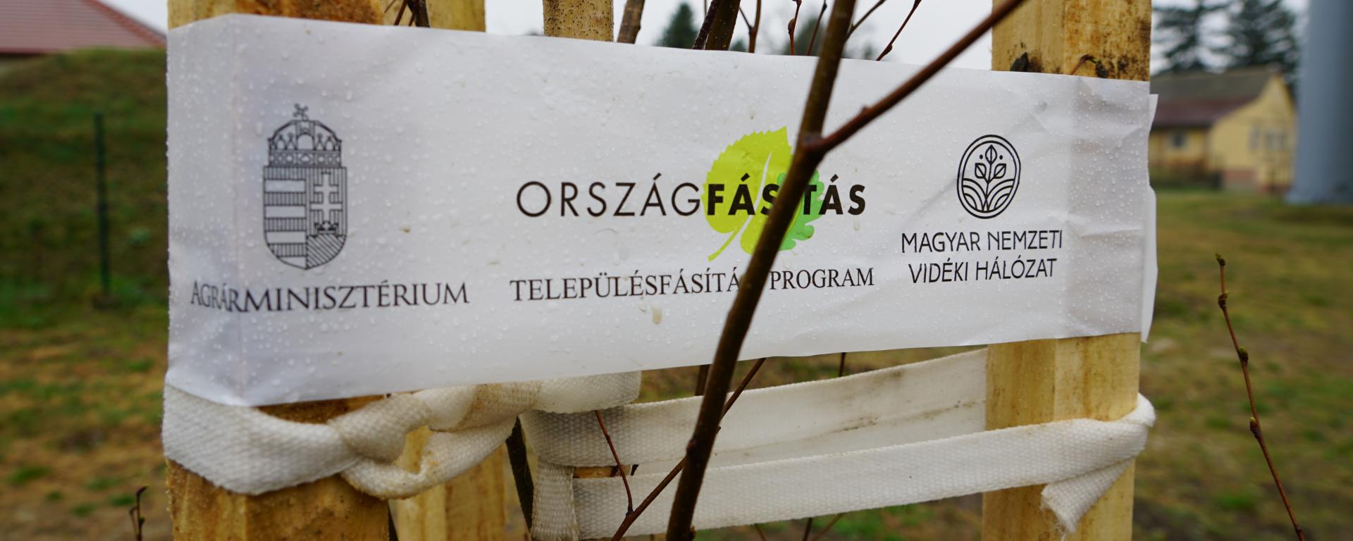 településfásítás