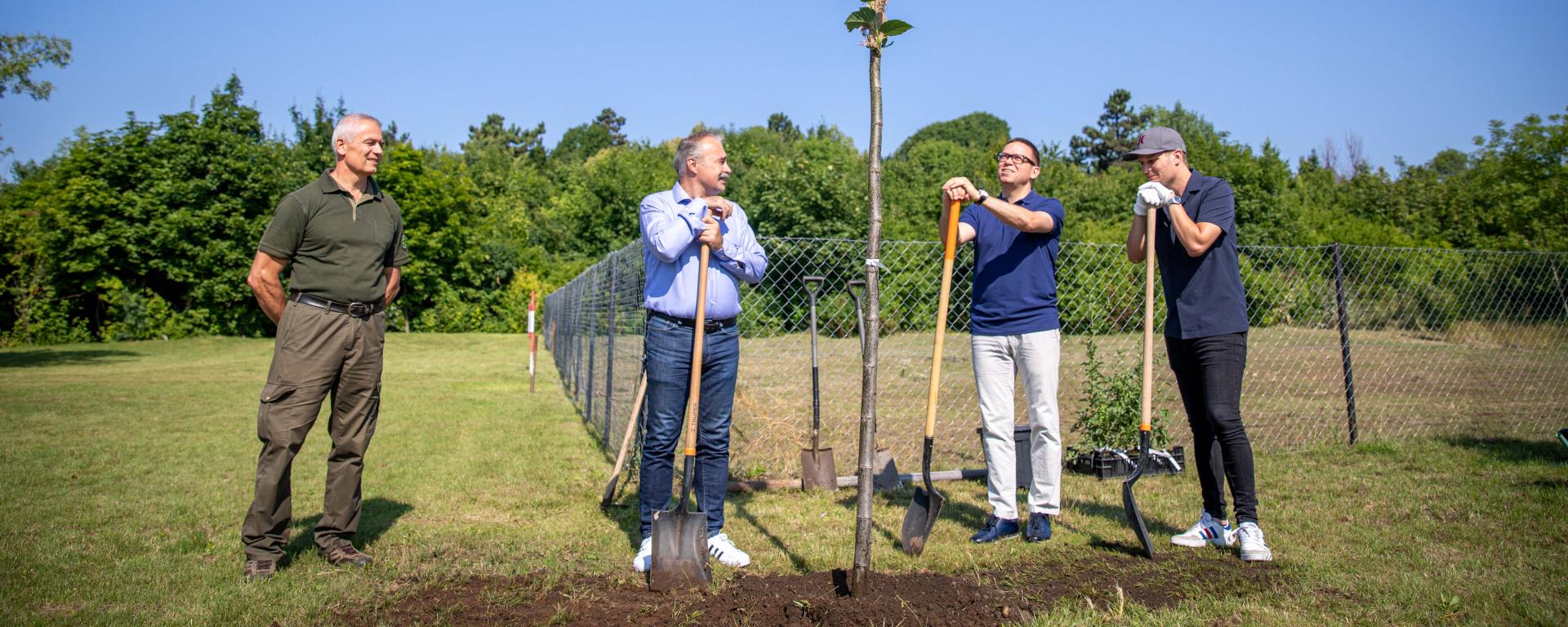 Fotó: Fekete István