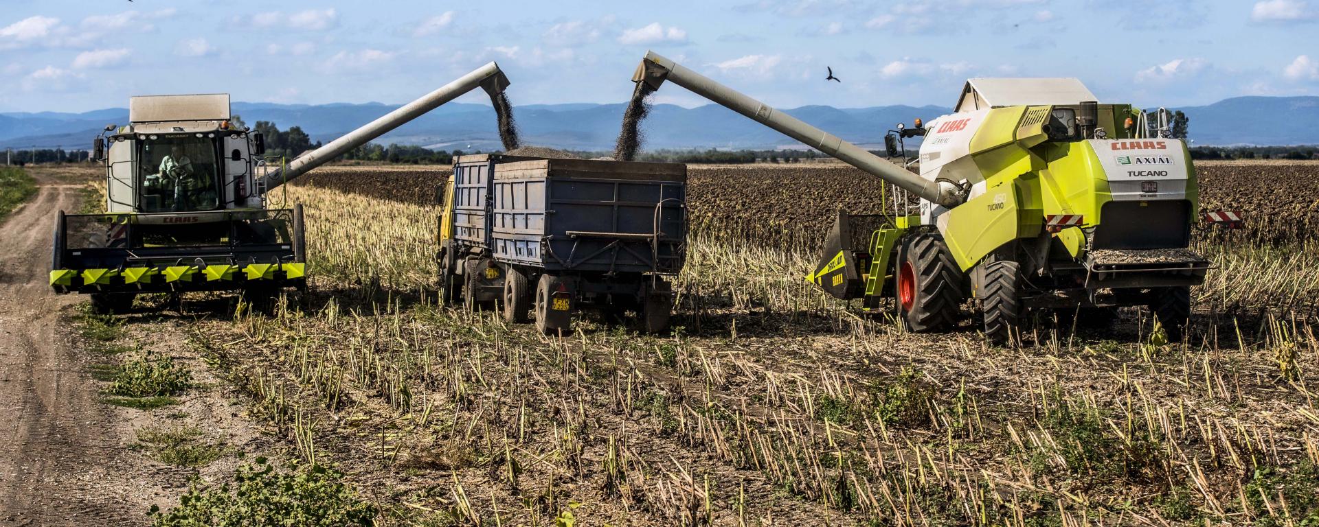 Fotó: Pelsőczy Csaba