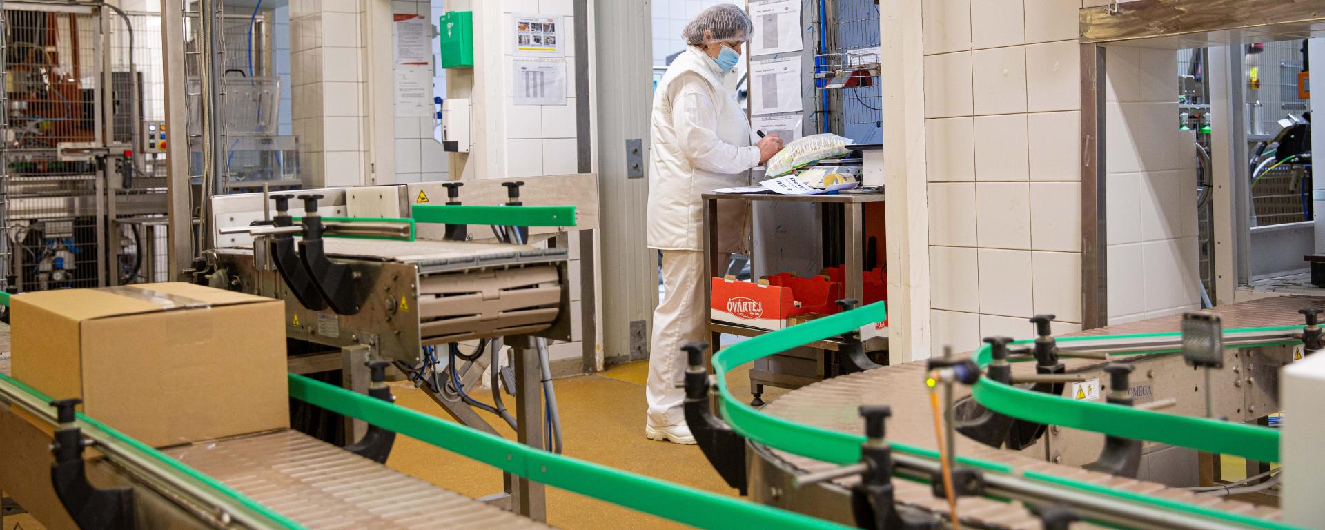 Fotó: Fekete István