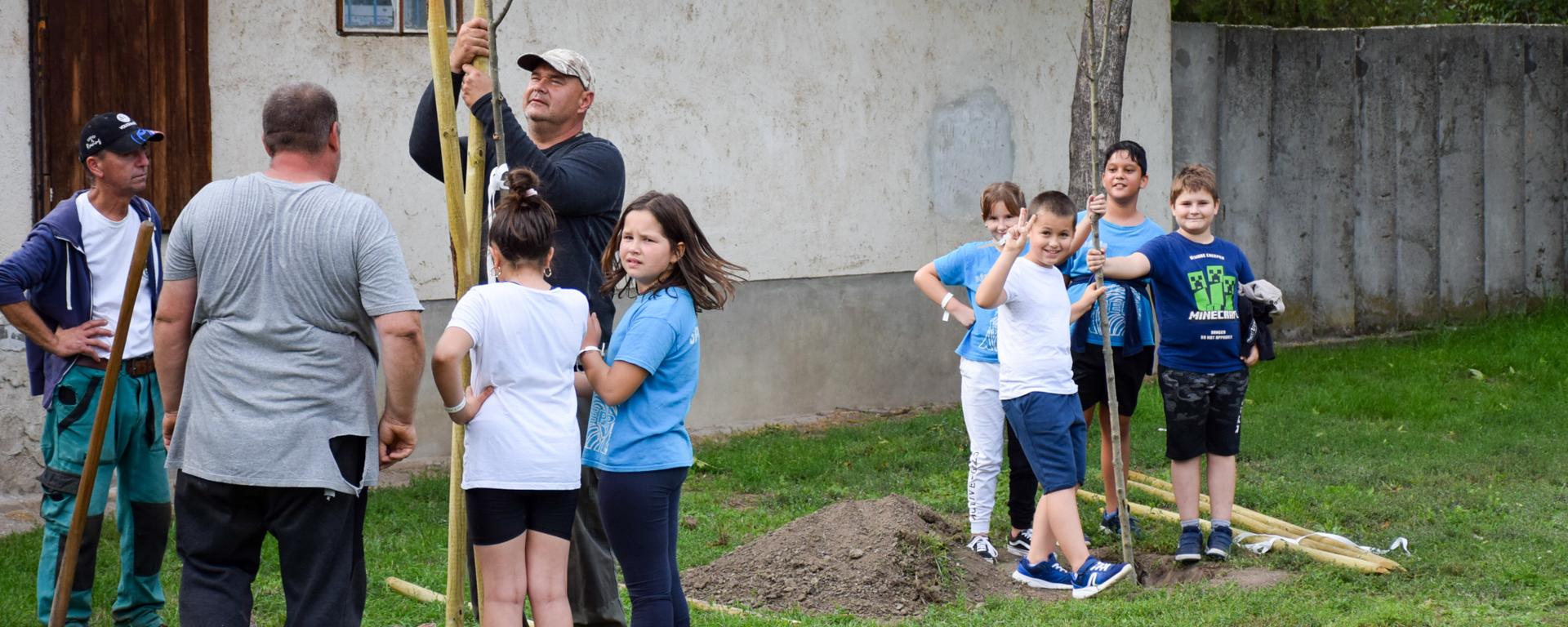 Több ezer sorfa ültetése kezdődött meg a VárosFa Programban