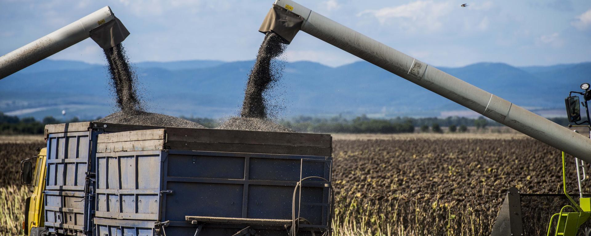 Fotó: Pelsőczy Csaba