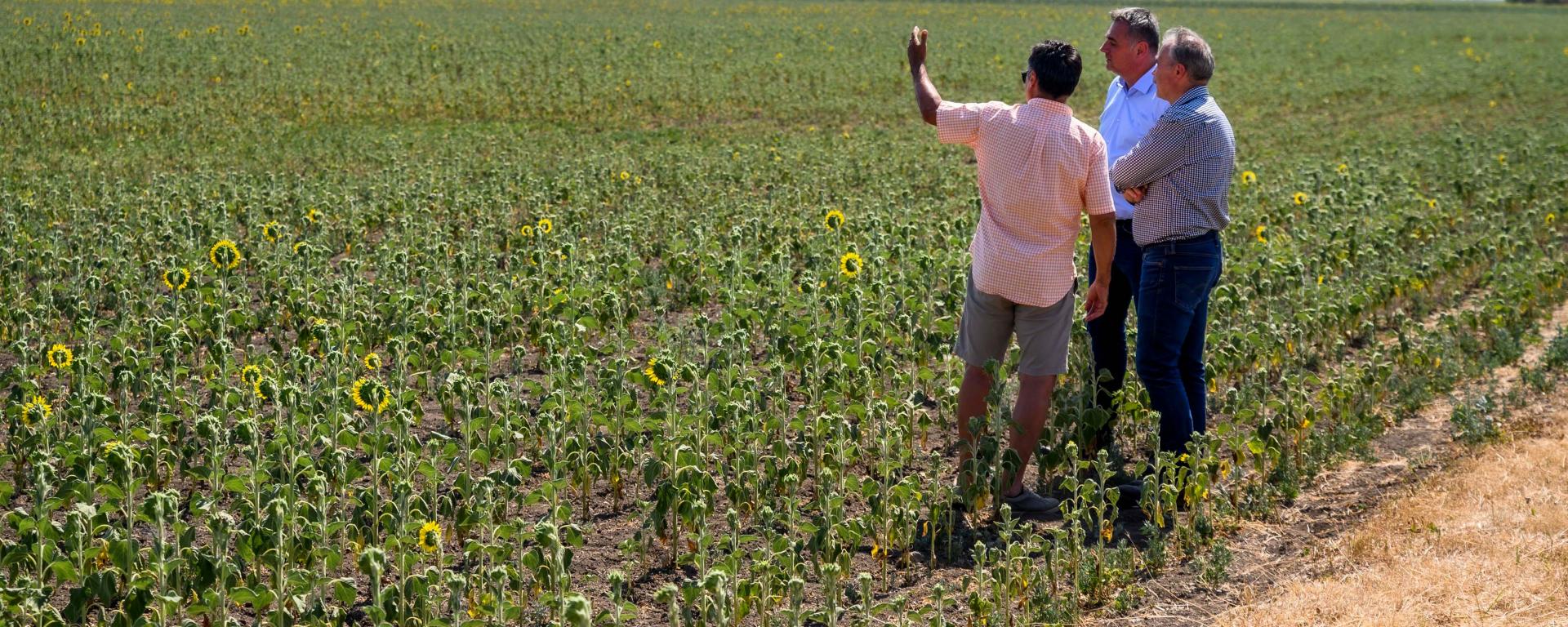 Fotó: Pelsőczy Csaba