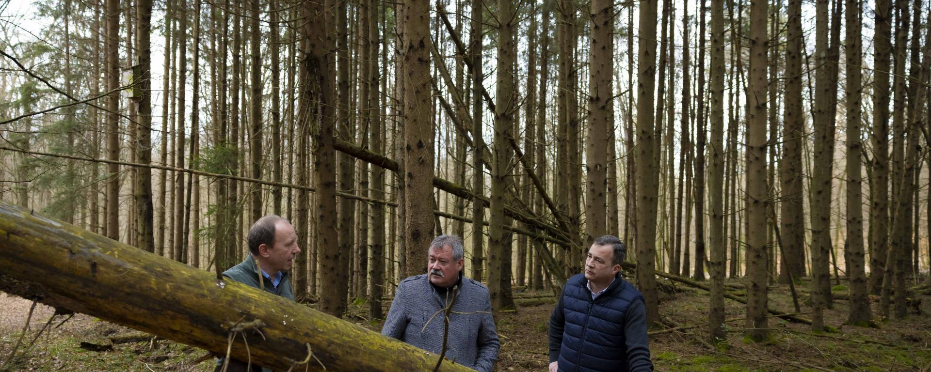 Fotó: Fekete István