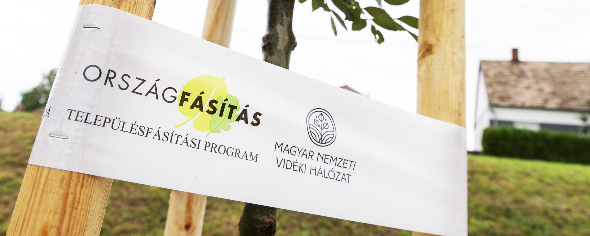 Fotó: MTI/Krizsán Csaba