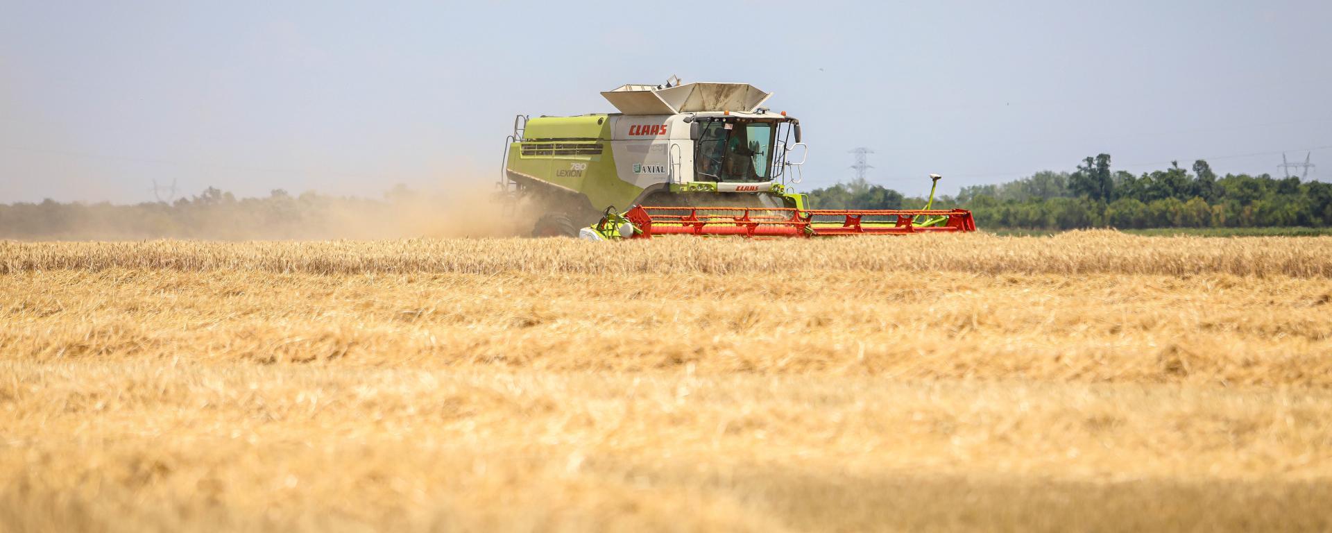 Fotó: Fekete István